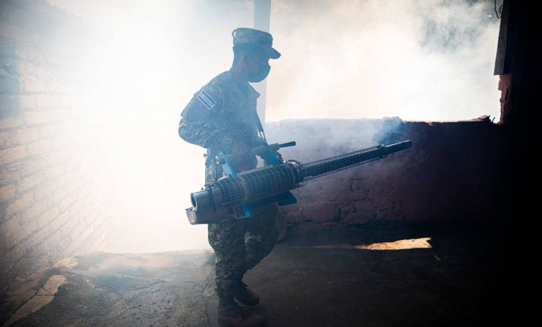 jornada de fumigación contra dengue