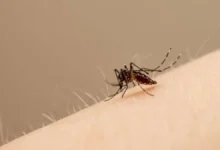 El Salvador registra tercera muertes por dengue en 2026, según Salud