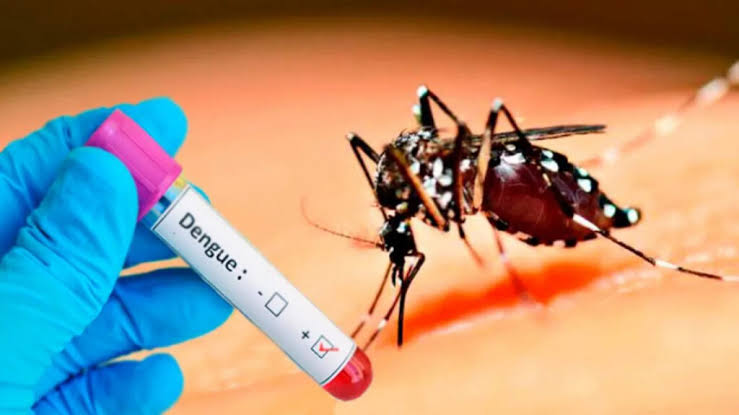 Ministerio de Salud confirma la primera muerte por dengue en 2026