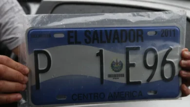 Comisión avala extender hasta 2027 la vigencia de las placas vehiculares con diseño de 2011