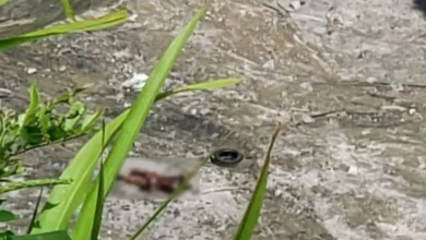 Hallan cuerpo en avanzado estado de descomposición en una quebrada de Soyapango