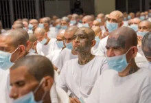 Tribunal fija para el 31 de agosto el fallo del juicio contra 485 cabecillas de la MS-13