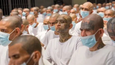 Tribunal fija para el 31 de agosto el fallo del juicio contra 485 cabecillas de la MS-13