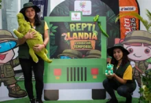 Camaleón y visitantes en la exhibición Reptilandia de Tin Marín