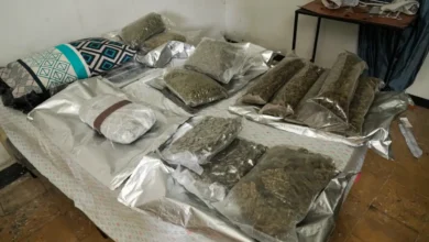 Alerta sobre drogas en vivienda de la colonia Flor Blanca culmina con captura y decomiso de marihuana