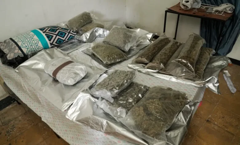Alerta sobre drogas en vivienda de la colonia Flor Blanca culmina con captura y decomiso de marihuana
