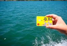 Manglares del Estero de Jaltepeque restaurados por La Cuenta del Mar