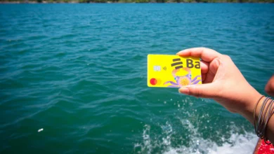 Manglares del Estero de Jaltepeque restaurados por La Cuenta del Mar
