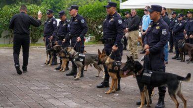 EE.UU. dona seis perros a El Salvador para combatir el tráfico de drogas