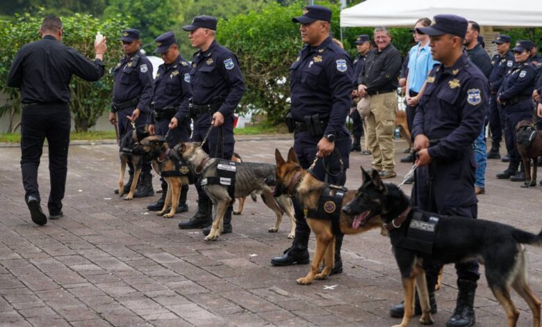 EE.UU. dona seis perros a El Salvador para combatir el tráfico de drogas
