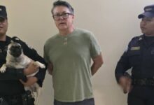 VIDEO: Sujeta a un perro de las patas desde un quinto piso y la PNC lo captura