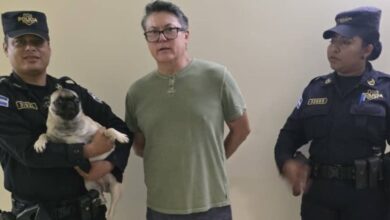 VIDEO: Sujeta a un perro de las patas desde un quinto piso y la PNC lo captura