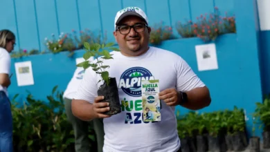 Voluntarios del programa Huella Azul de Agua Alpina recolectando residuos en la playa.