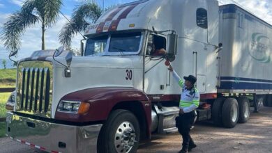 Los vehículos articulados de transporte de carga, incluidos cabezales y remolques, deberán cumplir con la Revisión Técnica Vehicular.
