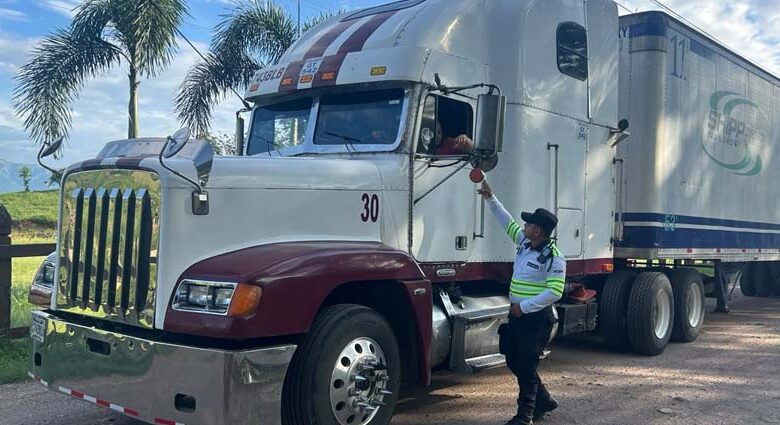 Los vehículos articulados de transporte de carga, incluidos cabezales y remolques, deberán cumplir con la Revisión Técnica Vehicular.